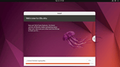 ubuntu系统安装页面